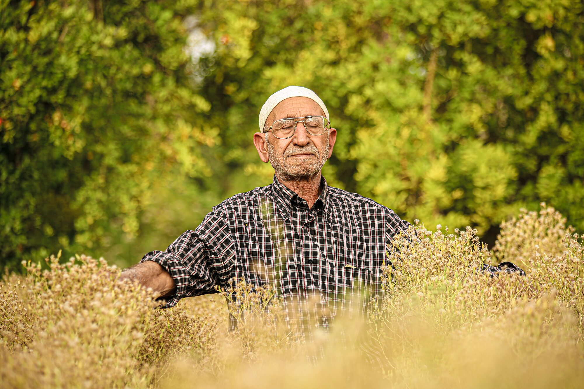 Closer portrait of Am Salah among the flowering crops he grows for seed