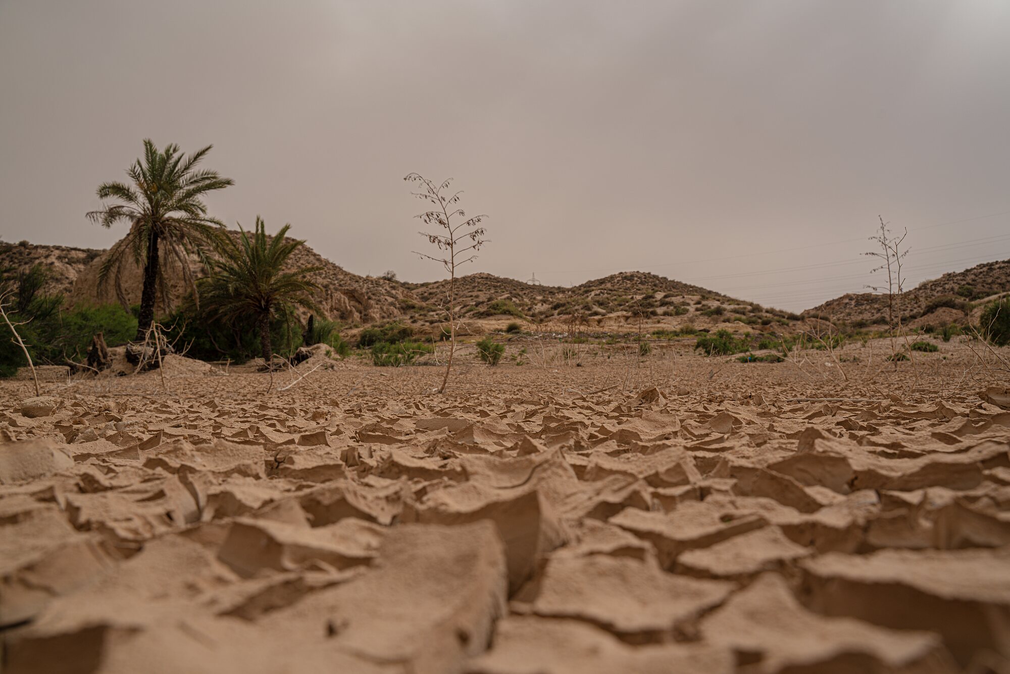 Cracked earth across a dried riverbed at Chenini, palms and low hills behind