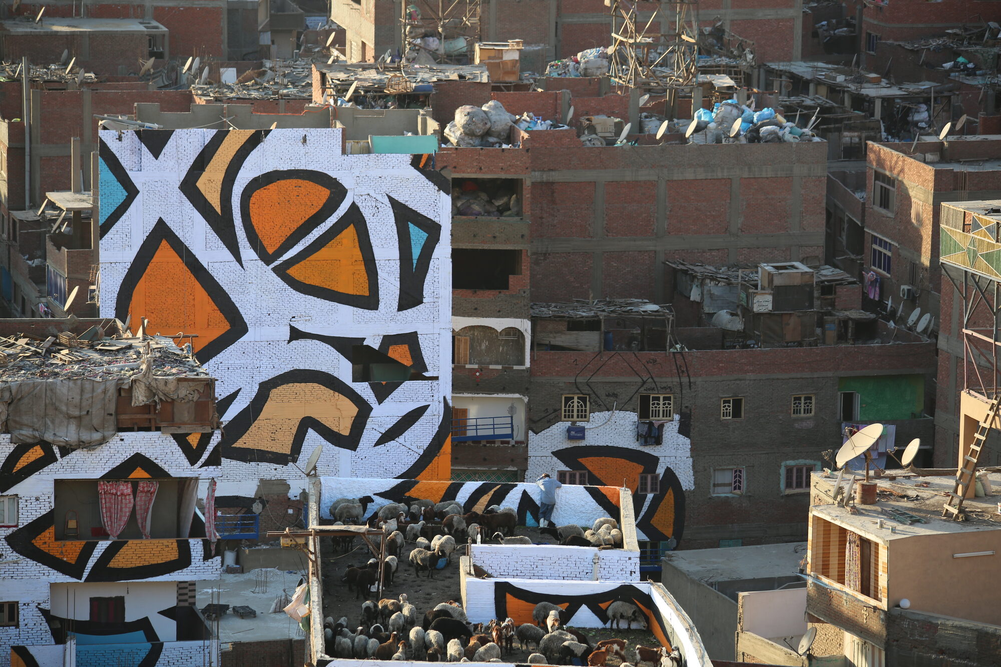 Aerial view of the mural with sheep grazing on the rooftop